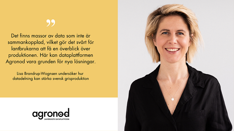 Lisa Brandrup-Wognsen