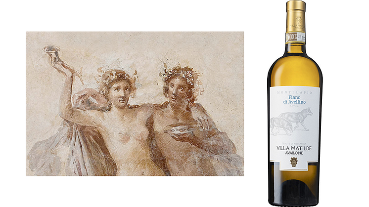 "Historiskt vin från södra Italien" Villa Matilde Fiano di Avellino 2020