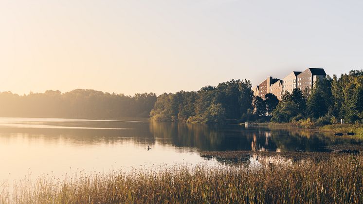 Vallen. Fotograf Jonas Ljungdahl