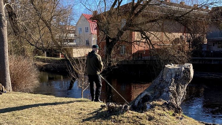 På lördag är det dags för fiskepremiär i Ronnebyån. 