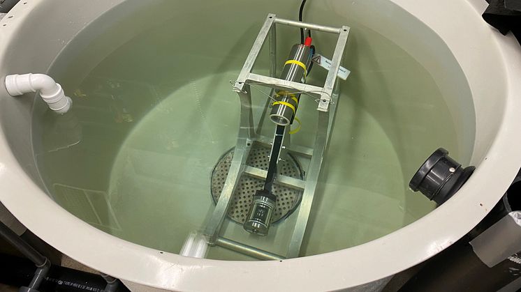 Sensoren UVP6 montert i en vanntank på VESO Aqualab (Photo: Ragnhild Pettersen/Akvaplan-niva)