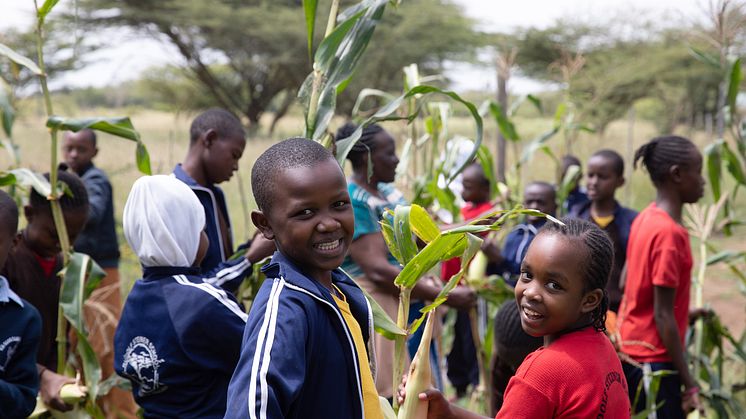 Jardin scolaire biodynamique d‘une école Steiner de Mbagathi au Kenya (Photo : Lin Bautze)