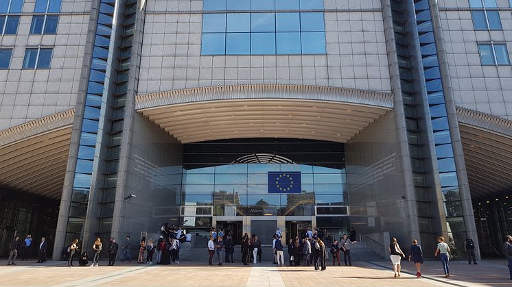 EU-parlamentet går emot den egna domstolen gällande Västsahara