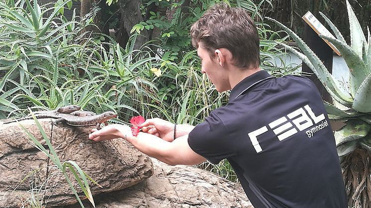 Hästelever reser till afrikansk dröm