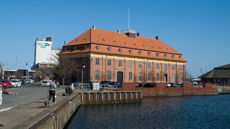 25.000 Håndstrøgne Dantegl tagsten på Horsens Toldbod