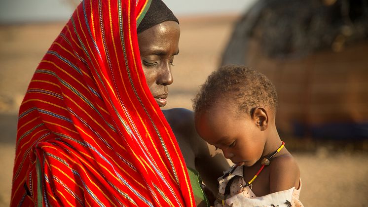 FN varnar för att 1,4 miljoner barn i de drabbade länderna riskerar att svälta ihjäl innan året är slut och Kenyas regering har klassificerat torkan som en nationell katastrof. 