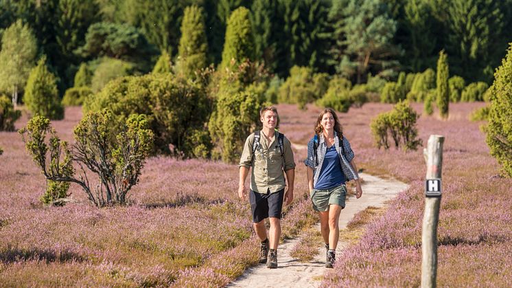 Wanderer Wacholderwald Schmarbecker Heide © Lüneburger Heide GmbH