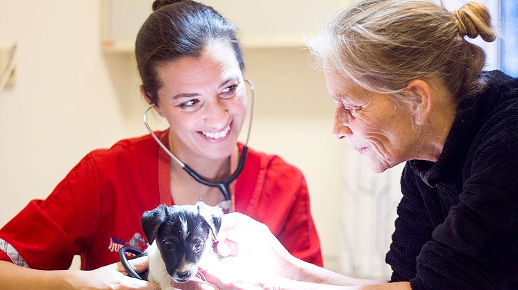 Veterinär Marie Jury - Väsby Djursjukhus