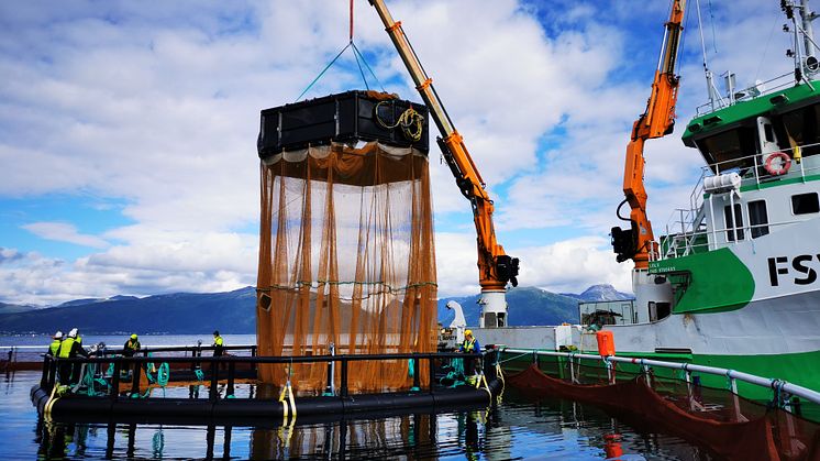 Cermaq has stocked fish in the third version of iFarm