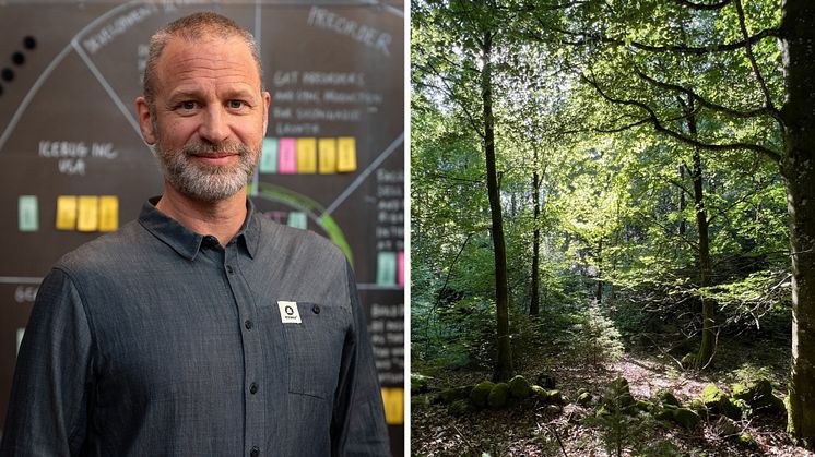 David Ekelund, vd på Icebug. Ekås gammelskog i Falkenbergs kommun, foto: Lo Jarl.