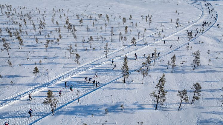Vasaloppets vintervecka 2024 går mot 60 000 anmälda deltagare, Öppet Spår söndag är snart fulltecknat. 