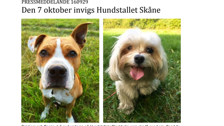 Den 7 oktober invigs Hundstallet Skåne