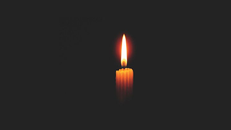 Förintelsens minnesdag ljus.jpg