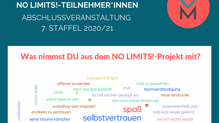 Eine Wordcloud aus Antworten und Kommentaren der Teilnehmer*inn der 7.  Staffel von NO LIMITS!