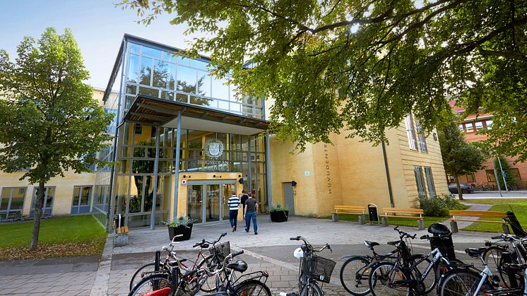Fler studenter söker till höstens utbildningar vid Högskolan i Skövde, jämfört med i fjol. 