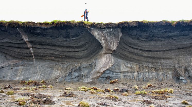 Iskilar på Herschel Island. Matthias Siewert