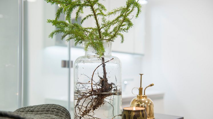 Gå ut i skogen og finn kvister eller små grantrespirer som kan settes i glass eller krukker. Detaljer fra naturen hører hjemme til jul.