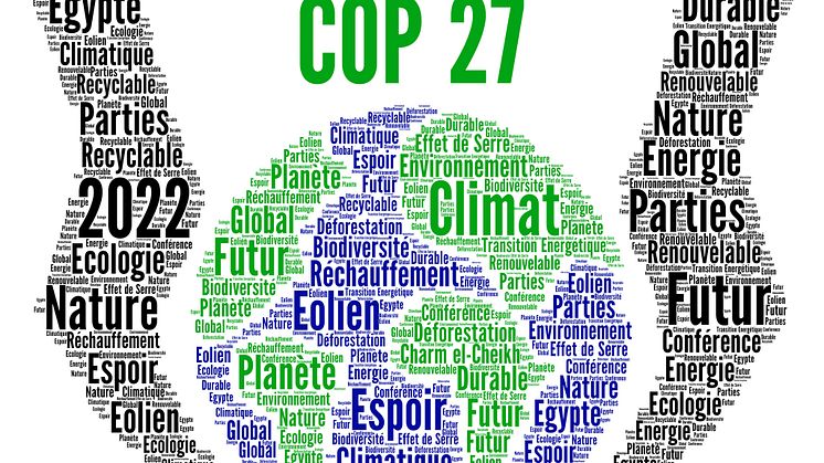 COP27_iStock-1366035146