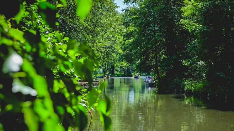 Lübbenau: Bootstour auf einem Kanal im Spresswald © Marcin Nowak / Anna Nowak