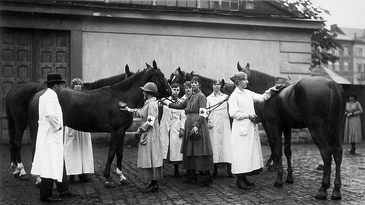 Hästsjukvårdskurs för Blå Stjärnor på 1920-talet