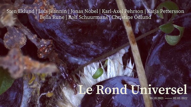 Bildbakgrund: ur Christine Ödlunds videoverk Compost I som ingår i utställningen Le Rond Universel