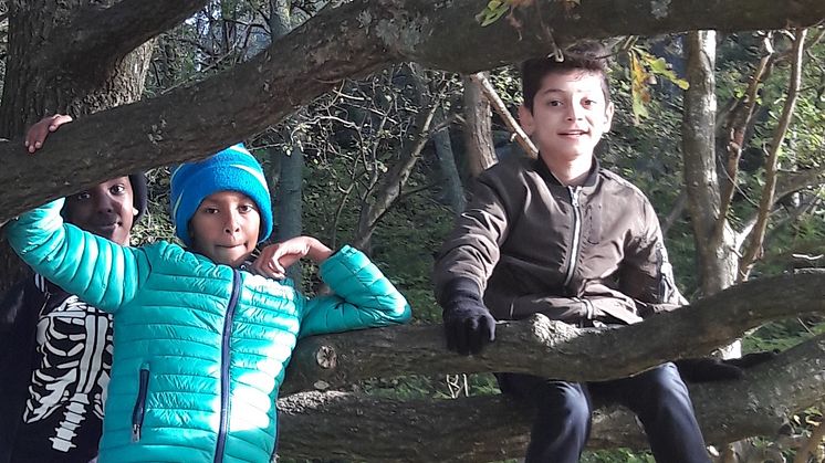 Shafi, Ahmed och Matin i klass 4C på Solbackeskolan i Bergsjön, Göteborg. Foto: Lena Dahlén. 