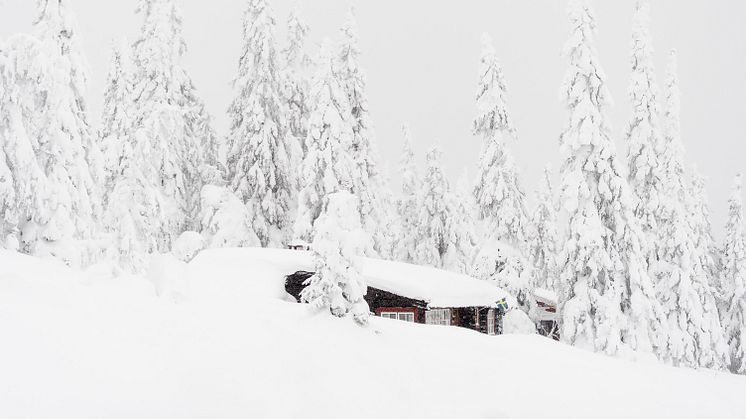 SkiStar AB: Fantastiskt mycket snö till fjälls