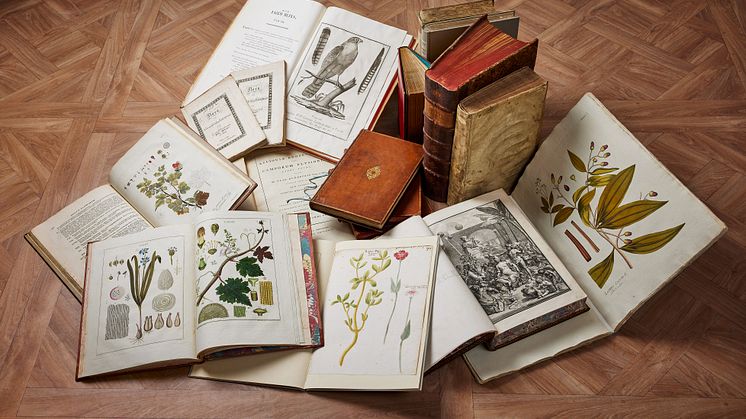 Selection – Olle Wallin's Botanical Library