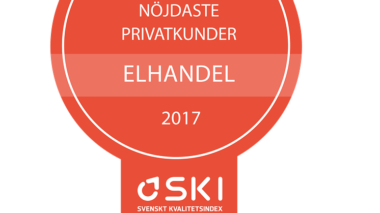 Medaljer SKI Elhandel B2C 2017