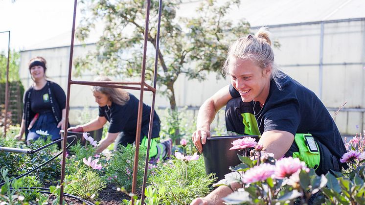 Hvilan Utbildning deltar i Nordic Horticulture