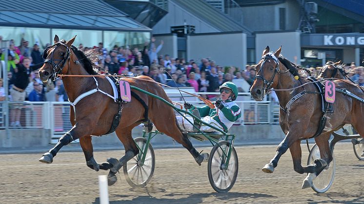 Rekordstort utländskt intresse för Elitloppet 