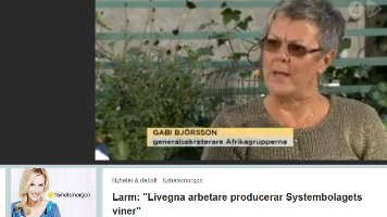 Afrikagrupperna i TV4 Nyhetsmorgon