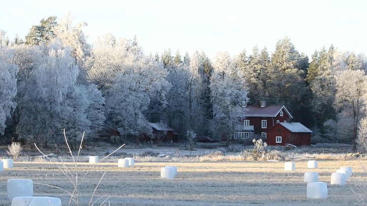 Ässkogs gård i området är idag utarrenderad, likt jordbruksmarken där.