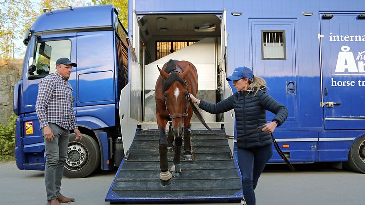 Go On Boy anländer till Solvalla