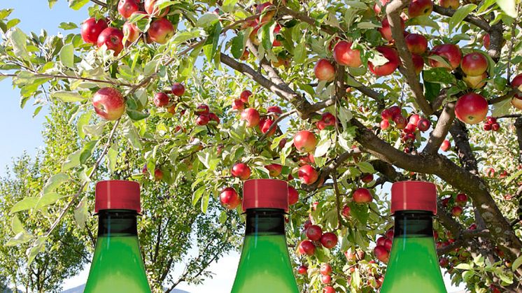 Herrljunga Cider firar Äpplets Dag