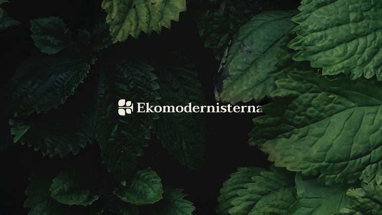 Ekomodernisterna copy