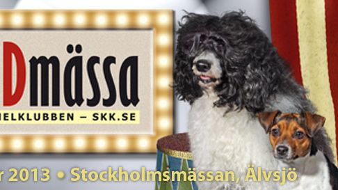 Stockholm Hundmässa 2013