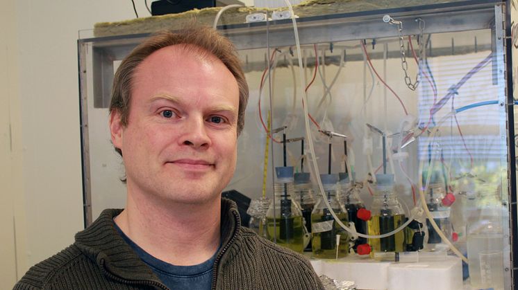 Magnus Sjöblom, forskare inom biokemisk processteknik