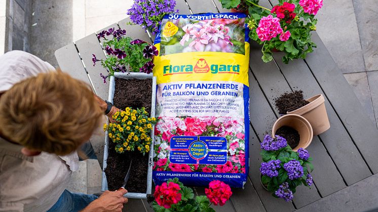  Die Aktiv Pflanzenerde für Balkon und Geranien von Floragard punktet mit Langzeitdünger.