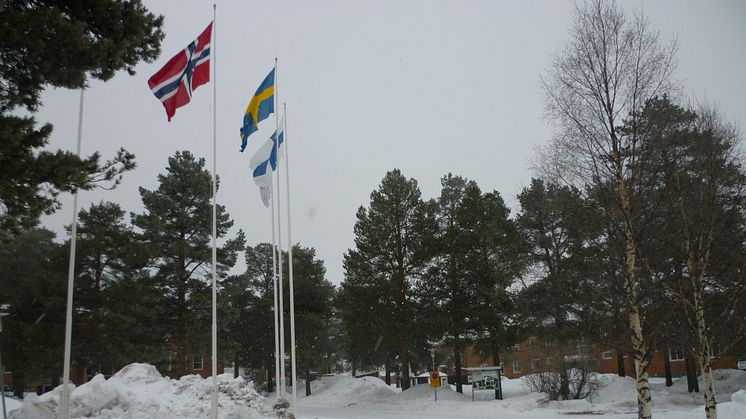 Utbildning Nord uppmärksammar Nordens dag