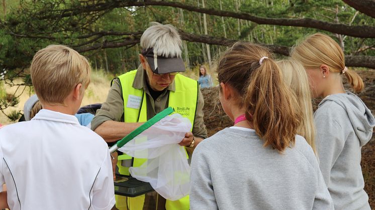 Skolbarn på en av stationerna under Naturpedagogiska dagarna. Foto: Anette Barr