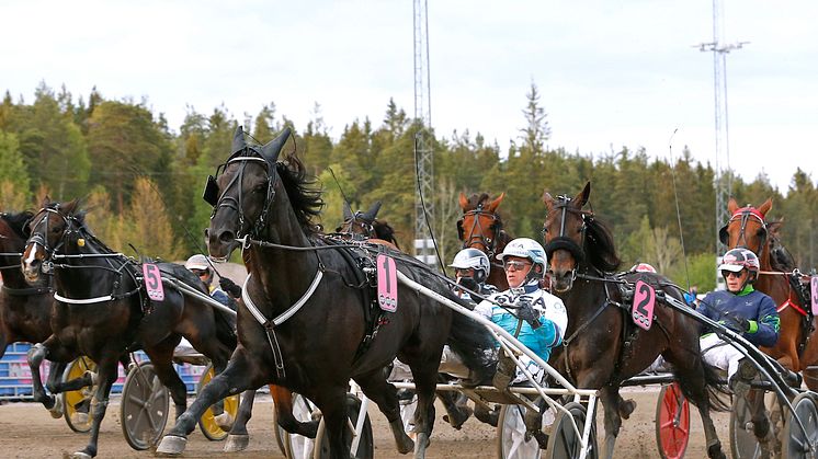 Sorbet klar för Elitloppet - Redén får med kvartet