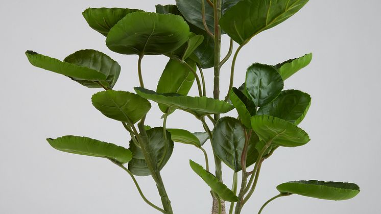Kunstpflanze ARVID, 71 cm