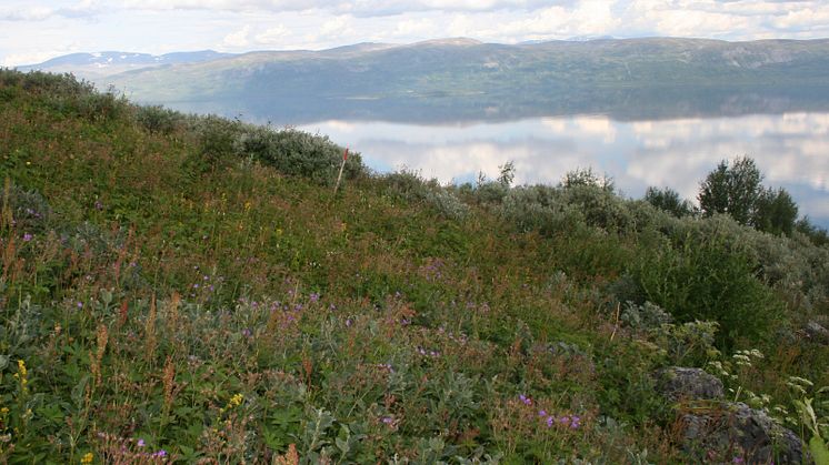 Nordiskt samarbete kring gemensam  e-infrastruktur för biologisk mångfald