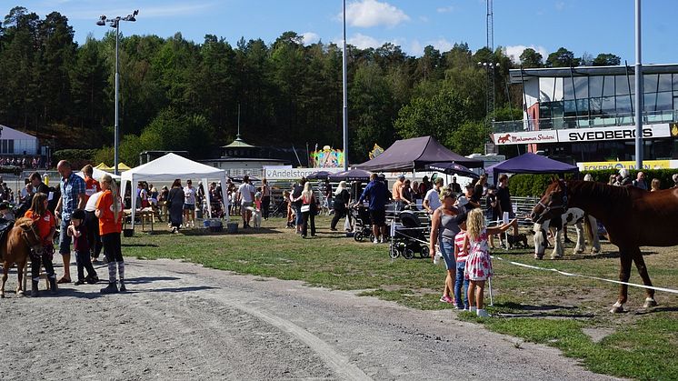 Djurens Helg på Solvalla