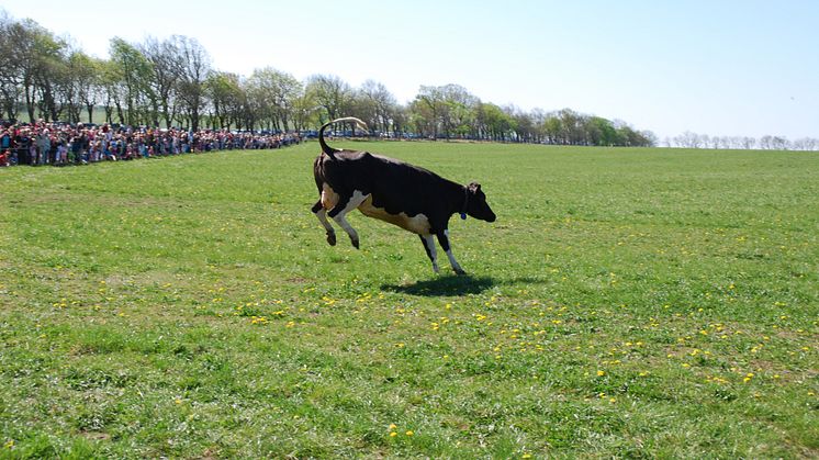 Betessläpp