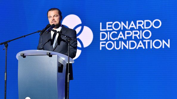 Leonardo DiCaprio Foundation (Getty Images)