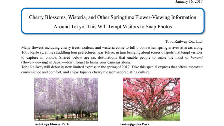[ENGLISH] Cherry Blossoms, Wisteria, and Other Springtime Flower-Viewing Information