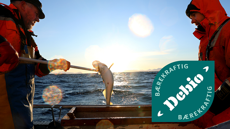 Den nye merkeordningen for bærekraftige fiskeprodukter garanterer fisk fra godt forvaltede bestander, fanget uten bunntrål og foredlet i Norge.