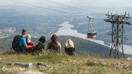 SkiStar Åre: Kabinbanan öppen under Åre Höstmarknad